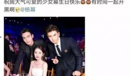 娱乐吃瓜酱杨幂,娱乐圈的“吃瓜酱”，揭秘明星幕后故事