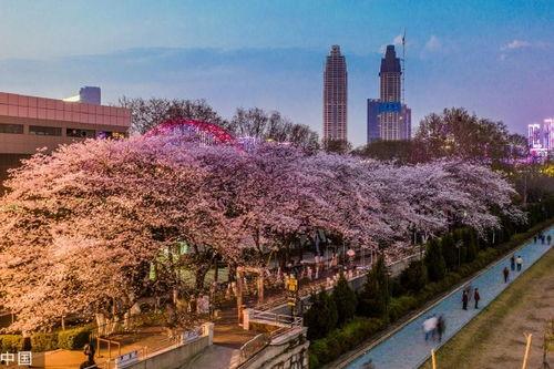 吃瓜抖音网红西昌,带你领略美食与娱乐的双重魅力