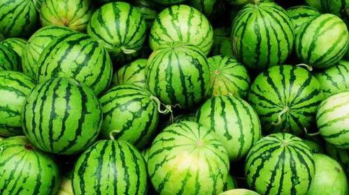 网红吃瓜颜色分类图片,缤纷色彩背后的秘密解析