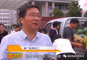 滑县吃瓜爆料,揭秘当地热点事件背后的真相